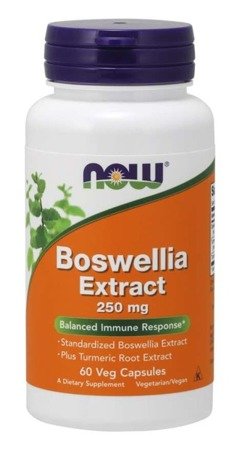 Now Foods Boswellia Extract 250 mg 60 kapsułek