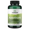 Swanson Głóg (Hawthorn) Extract 500 mg 120 kapsułek